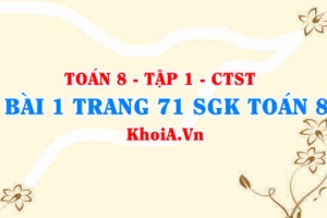 Bài 1 trang 71 SGK Toán 8 Tập 1 Chân trời sáng tạo